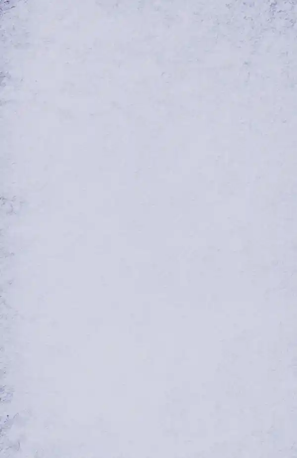 custom enterprise software development