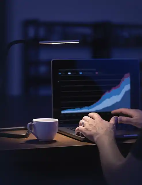 Person analyzing growth chart on laptop, symbolizing enterprise software development for business success.
